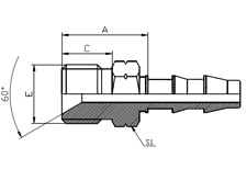 BSP Male 60° Cone Seat