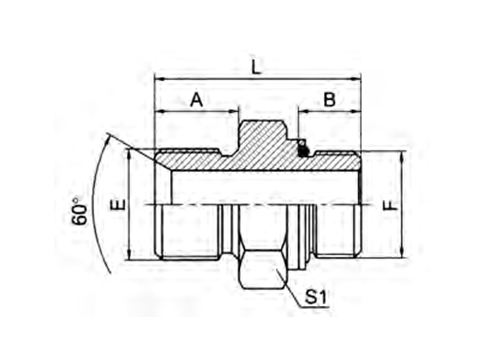 BSP MALE DOUBLE USE FOR 60° SEAT OR BONDED SEAL