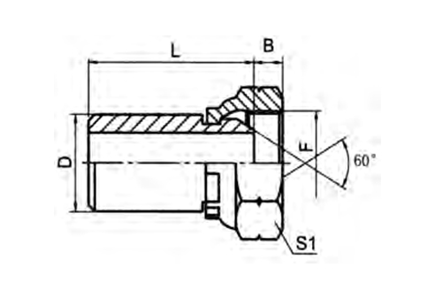 BUTT-WELD TUBE /BSP FEMALE 60° CONE