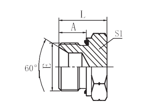 BSP MALE CAPTIVE SEAL HOLLOW HEX PLUG