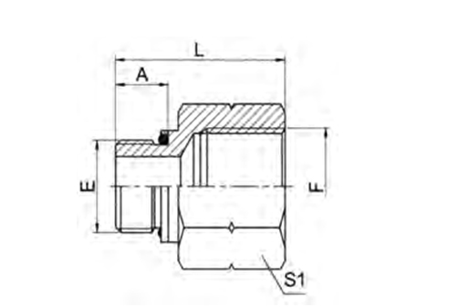 BSP MALE O-RING/ BSP FEMALE