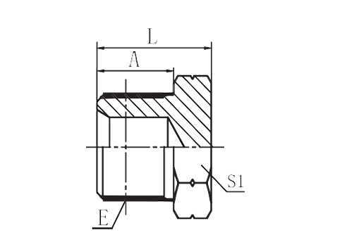 BSP MALE  PLUG