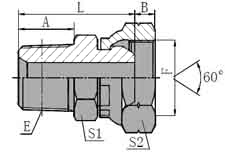 NPT  MALE/BSP  FEMALE  60  CONE