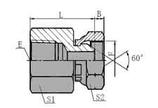 NPT  FEMALE/BSP  FEMALE  60   CONE