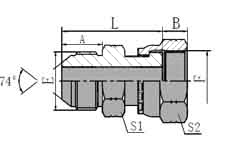 JIC MALE 74 CONE/ORFS FEMALE