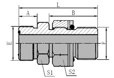 ORFS  MALE/BSP  MALE