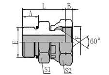 SAE  O-RING  BOSS/BSP  FEMALE  60  CONE