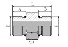 SAE  O-RING  BOSS