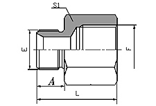 BSP MALE DOUBLE USE FOR 60 DEGREE SEAT OR BONDED SEAL/ BSP FEMALE ISO 1179