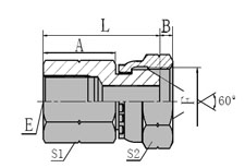 BSP  FEMALE/BSP  FEMALE  60  CONE