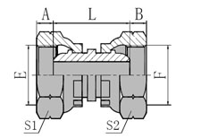 BSP  FEMALE  MULTISEAL