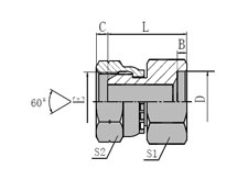 BSP FEMALE 60 CONE/INCH SOCKET-WELD TUBE