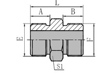 BSP  MALE  FLAT  SEAL