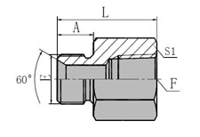 BSP  MALE  60 SEAT/NPT  FEMALE