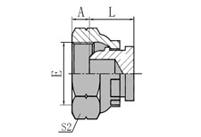 BSP FEMALE MULTISEAL PLUG