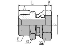 BSPT  MALE/BSP  FEMALE  MULTISEAL