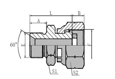 BSP  MALE  60  SEAT/BSP  PRESSURE  GAUGE  CONNECTORS