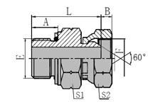 BSP  MALE  O-RING/BSP  MALE  60 