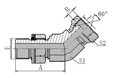 45 BSP  MALE  O-RING/BSP  MALE  60   CONE