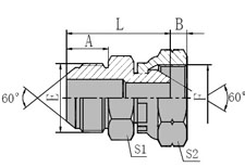 Metric Male 60/BSP Female 60 Cone