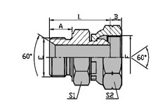 Metric Male 60 Seat/BSPFemale 60 Cone