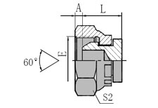 Metric Female  60 Cone Plug