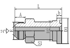 JIC Male 74 Cone/SAE  Flange 3000PSI