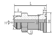 JIC Male 74 Cone / SAE  Flange 6000PSI