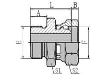 Metric Male with Bonded Seal/BSP Female Multiseal