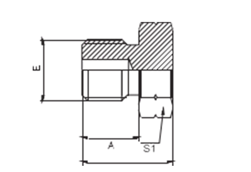 BSP Male O-ring Plug