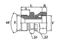 BSP MALE /FEMALE MULTISEAL 