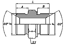 BSP MALE DOUBLE USE FOR 60ºS EAT OR BOUNED SEAL-P1B