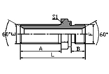 60º BSP MALE-BSP MALE CAPTIVE SEAL-P6B