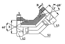 45º BSP FEMALE 