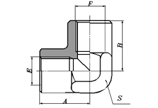 BSP FEMALE/BSP FEMALE