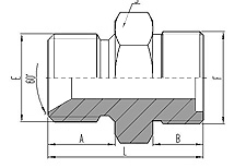 BSP MALE 60° SEAT OR BONDED SEAL/METRIC MALE O-RING FLAT SEAL