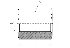 BSP FEMALE ISO 1179