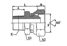 BSPT MALE /BSP FEMALE 60º CONE 