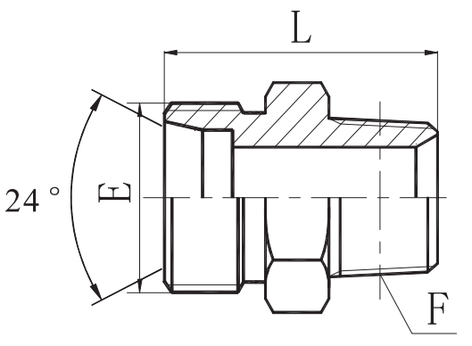 BSPT Male