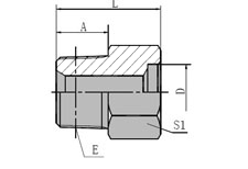 BSPT  MALE/INCH  SOCKET-WELD  TUBE