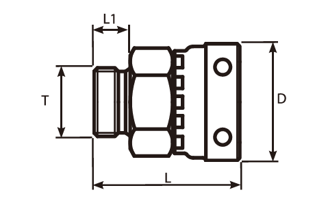 BSP Male Flat Face- Swivel FemaleAdaptor