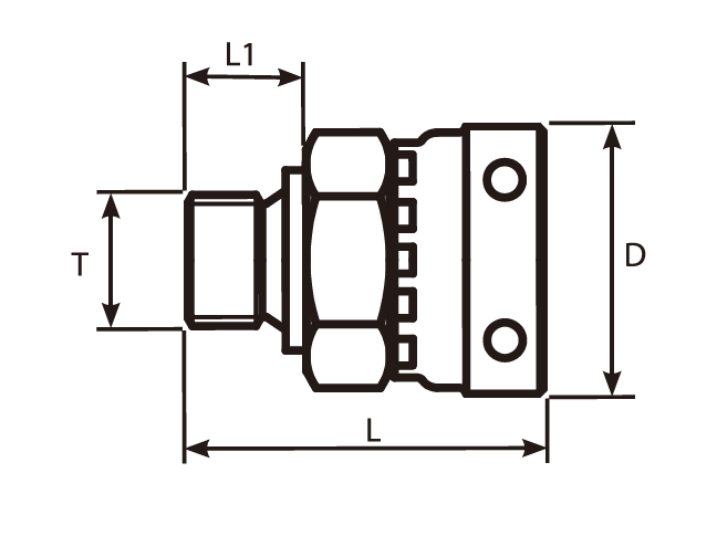 BSP Male Form D- Swivel Female Adaptor