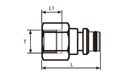 BSP Fixed Female - Staple Male Adaptor