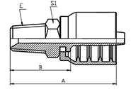 Parker NPT Male