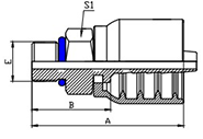 SAE O-RING MALE